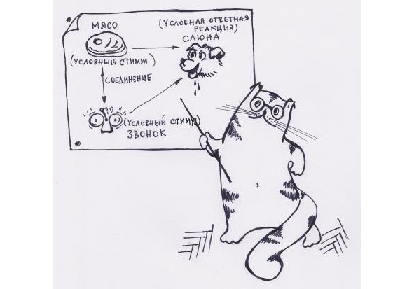 Иллюстрация к книге — Инструкции по эксплуатации мозга для обывателя [i_001.jpg]