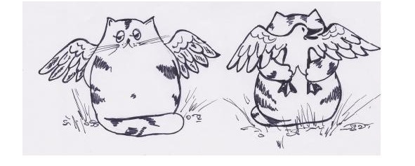 Иллюстрация к книге — Инструкции по эксплуатации мозга для обывателя [i_017.jpg]