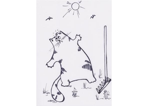 Иллюстрация к книге — Инструкции по эксплуатации мозга для обывателя [i_018.jpg]