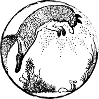 Иллюстрация к книге — Foxcraft. Книга 3. Снежная магия [i_018.jpg]