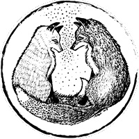 Иллюстрация к книге — Foxcraft. Книга 3. Снежная магия [i_020.jpg]