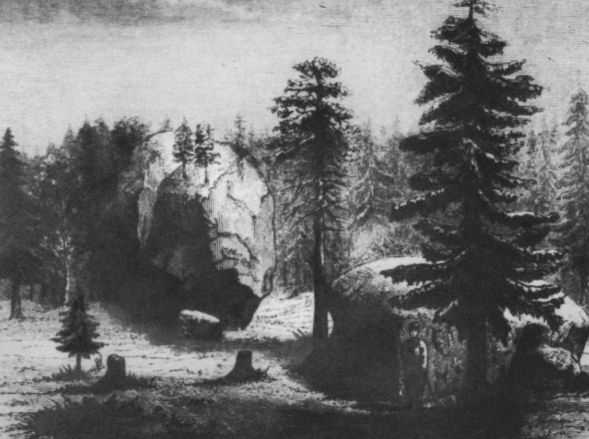 Иллюстрация к книге — Кропоткин [i_019.jpg]