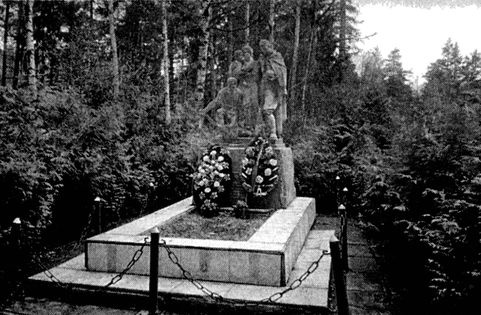 Иллюстрация к книге — Их послал на смерть Жуков? Гибель армии генерала Ефремова [i_029.jpg]