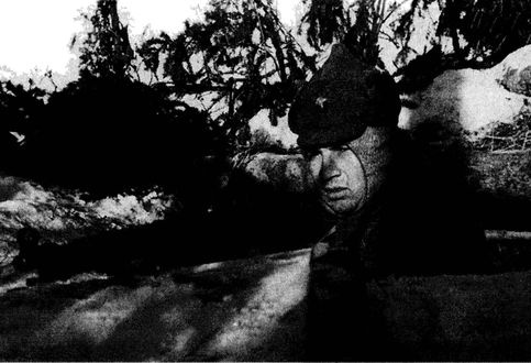 Иллюстрация к книге — Их послал на смерть Жуков? Гибель армии генерала Ефремова [i_037.jpg]