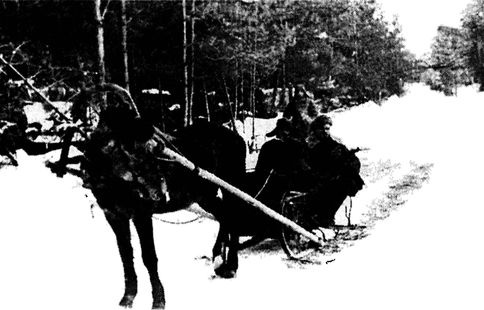 Иллюстрация к книге — Их послал на смерть Жуков? Гибель армии генерала Ефремова [i_066.jpg]