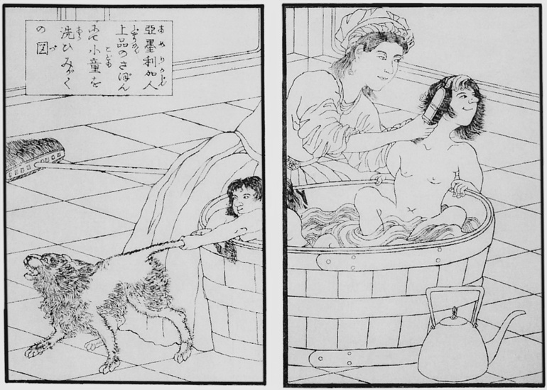 Иллюстрация к книге — Император Мэйдзи и его Япония [i_027.jpg]