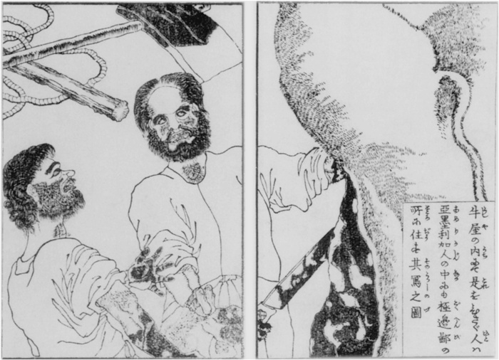 Иллюстрация к книге — Император Мэйдзи и его Япония [i_028.jpg]