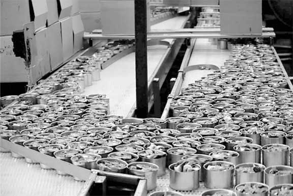 Иллюстрация к книге — Полвека в океане. История рыбных промыслов Дальнего Востока в рассказах, очерках, репортажах [i_011.jpg]