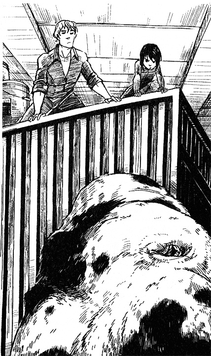 Иллюстрация к книге — Космоолухи: Рядом. Том 2 [i_007.jpg]