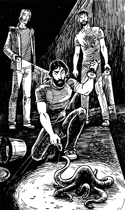 Иллюстрация к книге — Космоолухи: Рядом. Том 2 [i_010.jpg]