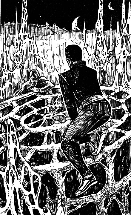 Иллюстрация к книге — Космоолухи: Рядом. Том 2 [i_015.jpg]