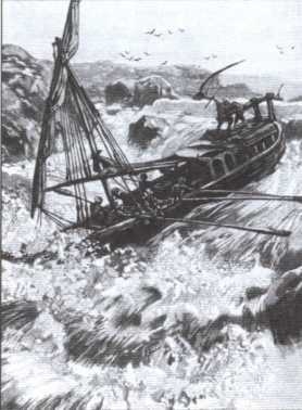 Иллюстрация к книге — Брем [i_012.jpg]