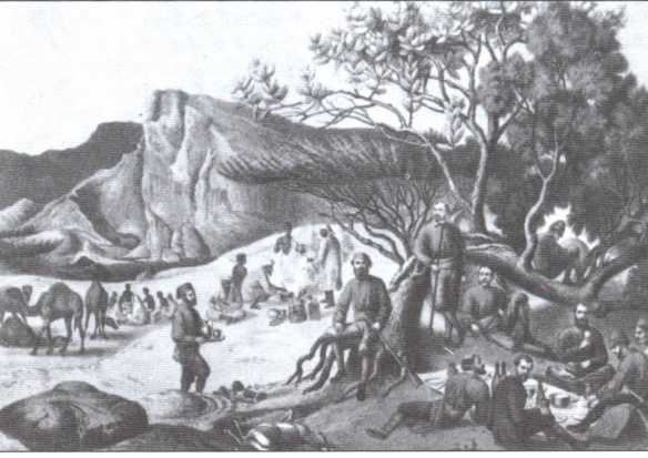 Иллюстрация к книге — Брем [i_018.jpg]