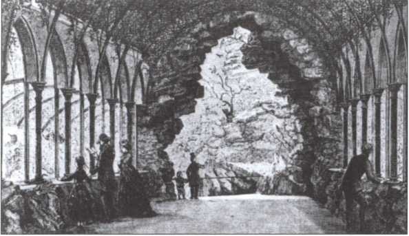 Иллюстрация к книге — Брем [i_021.jpg]