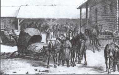 Иллюстрация к книге — Брем [i_027.jpg]