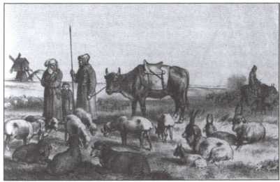 Иллюстрация к книге — Брем [i_029.jpg]