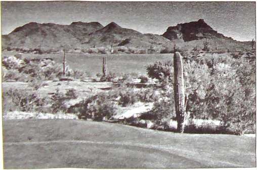 Иллюстрация к книге — Карлос Кастанеда. Путь мага и воина духа [i_019.jpg]