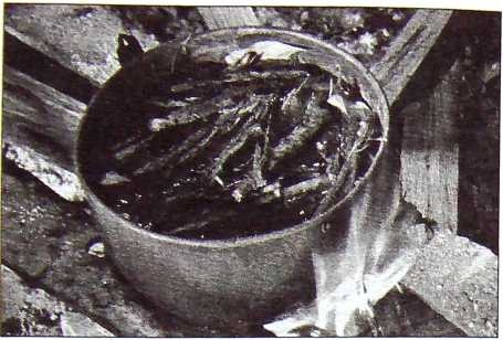 Иллюстрация к книге — Карлос Кастанеда. Путь мага и воина духа [i_021.jpg]