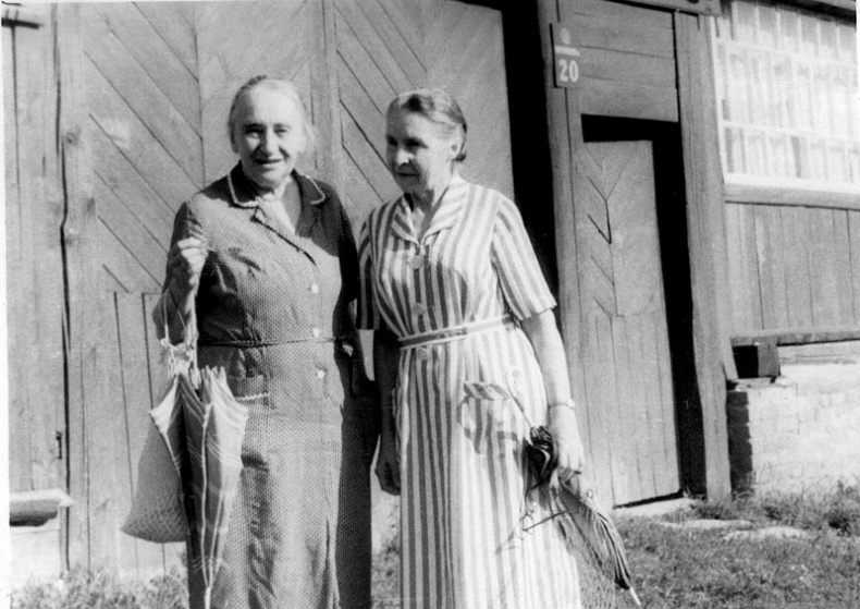 Иллюстрация к книге — "Посмотрим, кто кого переупрямит...". Надежда Яковлевна Мандельштам в письмах, воспоминаниях, свидетельствах [i_055.jpg]