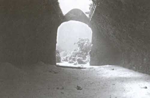 Иллюстрация к книге — Охотники за морскими кладами [i_028.jpg]