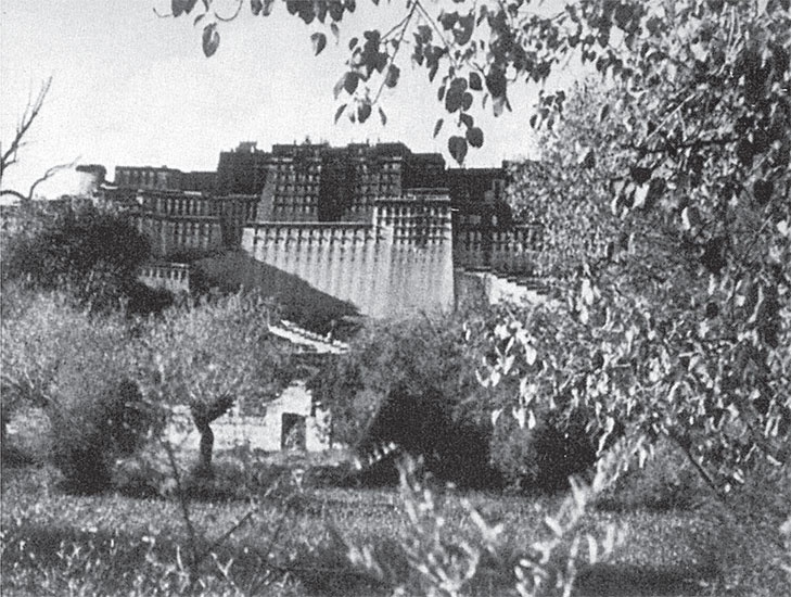 Иллюстрация к книге — Семь лет в Тибете. Моя жизнь при дворе Далай-ламы [_9.jpg]