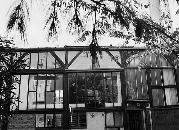 Иллюстрация к книге — Здесь шумят чужие города, или Великий эксперимент негативной селекции [i_019.jpg]