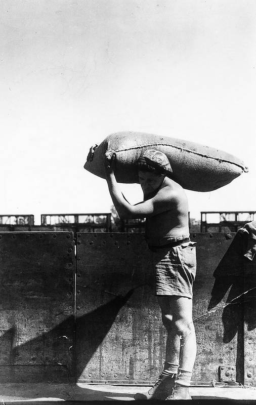 Иллюстрация к книге — Хельмут Ньютон. Автобиография [autogen_ebook_id29.jpg]