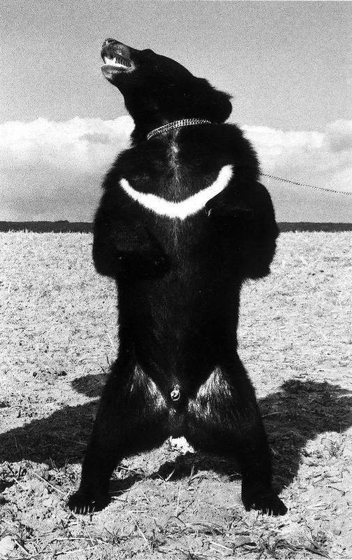 Иллюстрация к книге — Хельмут Ньютон. Автобиография [autogen_ebook_id72.jpg]