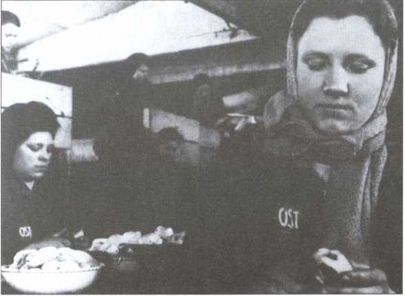 Иллюстрация к книге — Мемуары "власовцев" [i_024.jpg]