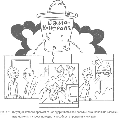 Иллюстрация к книге — Воля и самоконтроль. Как гены и мозг мешают нам бороться с соблазнами [i_009.jpg]