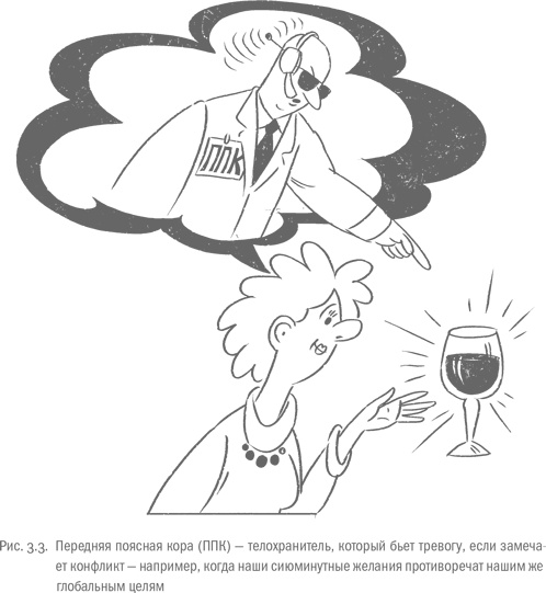 Иллюстрация к книге — Воля и самоконтроль. Как гены и мозг мешают нам бороться с соблазнами [i_013.jpg]