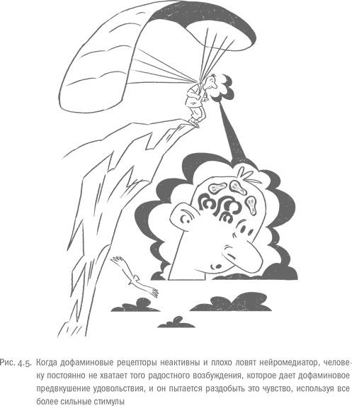 Иллюстрация к книге — Воля и самоконтроль. Как гены и мозг мешают нам бороться с соблазнами [i_033.jpg]