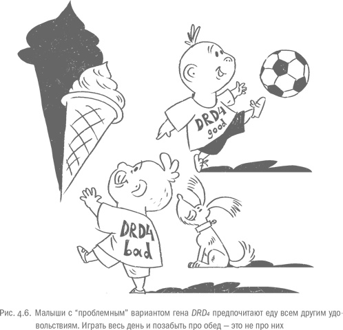 Иллюстрация к книге — Воля и самоконтроль. Как гены и мозг мешают нам бороться с соблазнами [i_034.jpg]