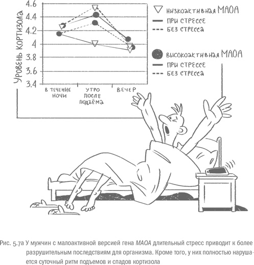 Иллюстрация к книге — Воля и самоконтроль. Как гены и мозг мешают нам бороться с соблазнами [i_048.jpg]
