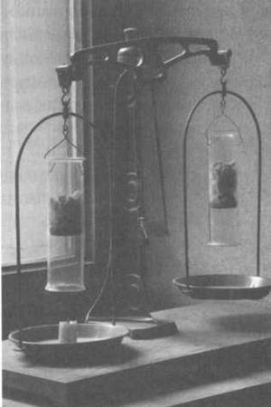 Иллюстрация к книге — Журнал "Наука. Величайшие теории" №29 [img_25.jpg]