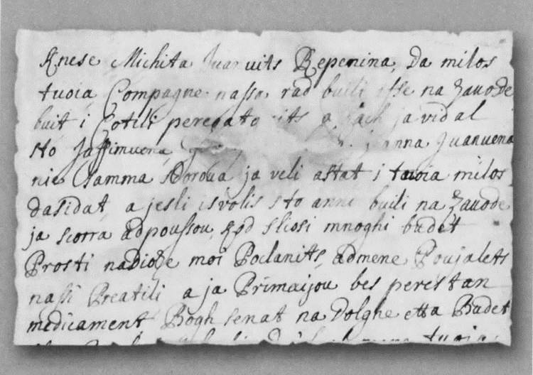 Иллюстрация к книге — Лефорт [i_029.jpg]