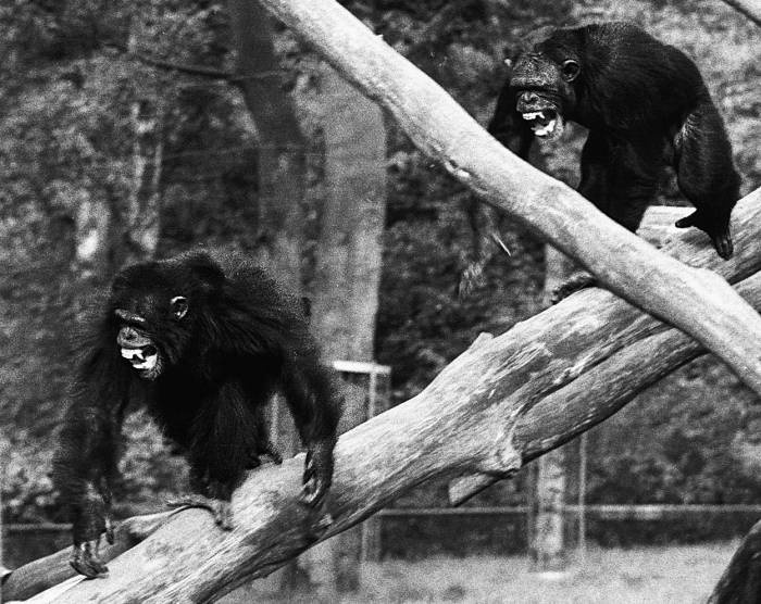 Иллюстрация к книге — Парадокc власти. Как обретают и теряют влияние [_056.jpg]