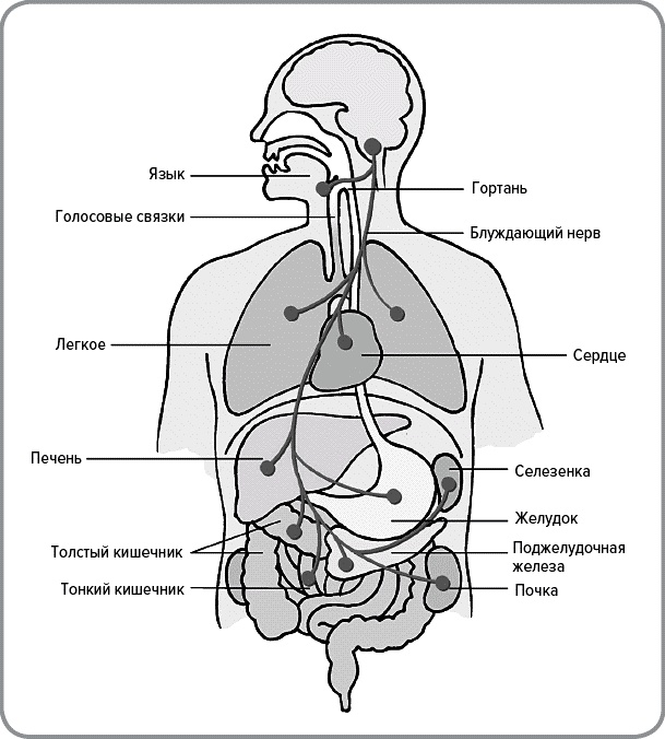 Иллюстрация к книге — Парадокc власти. Как обретают и теряют влияние [_110.jpg]
