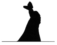 Иллюстрация к книге — Елена Образцова. Голос и судьба [i_015.jpg]