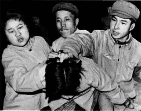 Иллюстрация к книге — Мао Цзэдун [p_86.jpg]