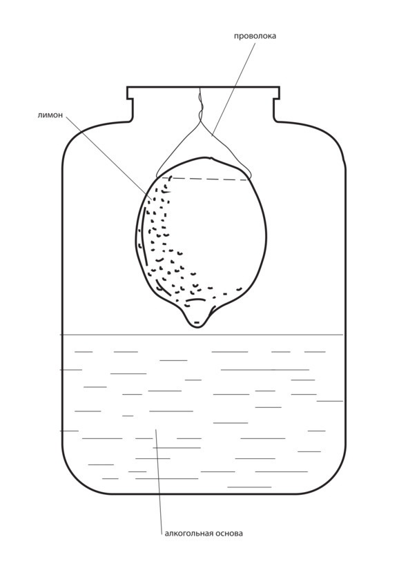 Иллюстрация к книге — Рецепты Алкофана. Теория и практика приготовления спиртных напитков дома [i_015.jpg]