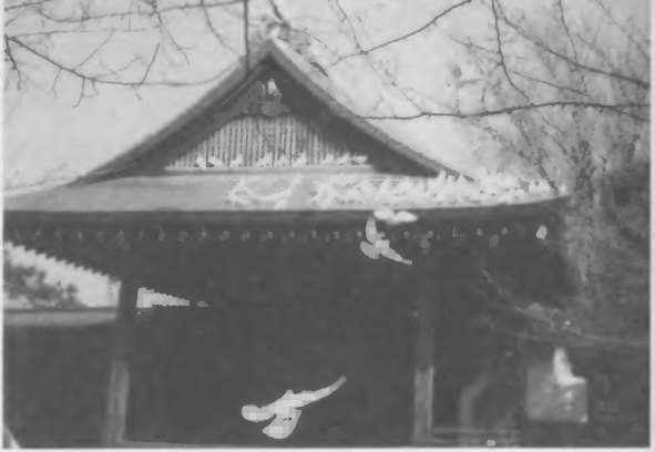 Иллюстрация к книге — КГБ в Японии [i_012.jpg]