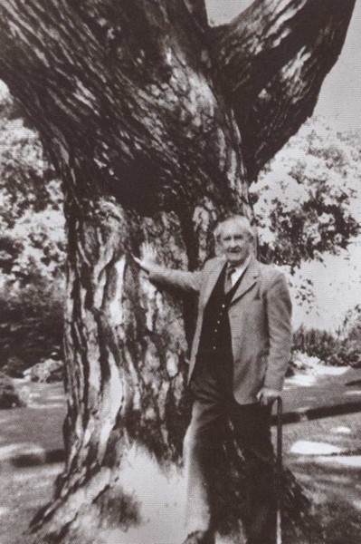 Иллюстрация к книге — Толкин [i_057.jpg]