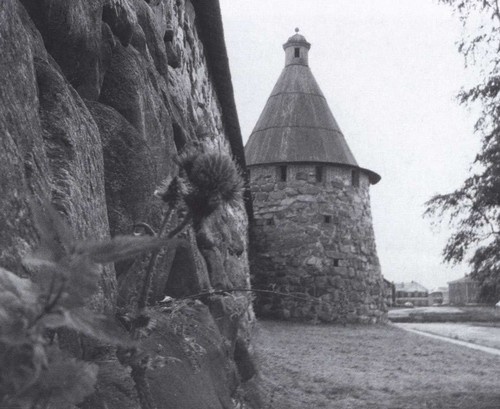 Иллюстрация к книге — Дмитрий Лихачев [i_018.jpg]