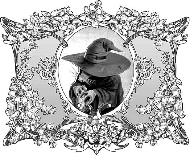 Иллюстрация к книге — Ириска и Спящая Каракатица [i_025.jpg]