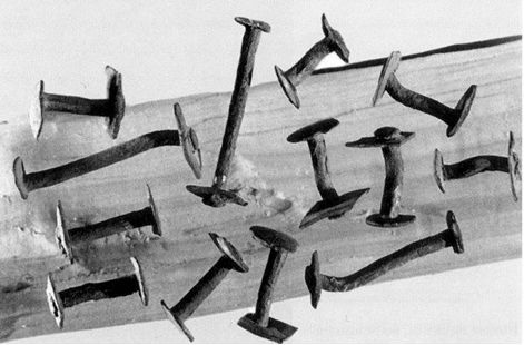 Иллюстрация к книге — Рюрик [i_012.jpg]