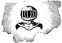 Иллюстрация к книге — Над самой клеткой льва [i_003.jpg]