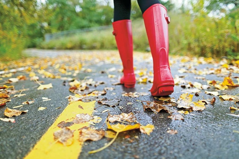 Иллюстрация к книге — Счастье по хюгге, или добавь в свою жизнь немного волшебства [i_005.jpg]