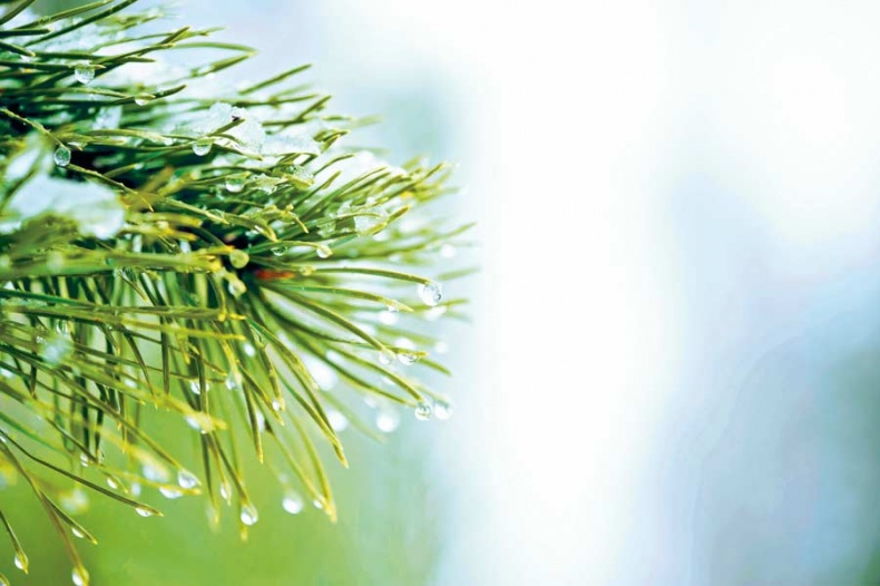 Иллюстрация к книге — Счастье по хюгге, или добавь в свою жизнь немного волшебства [i_041.jpg]