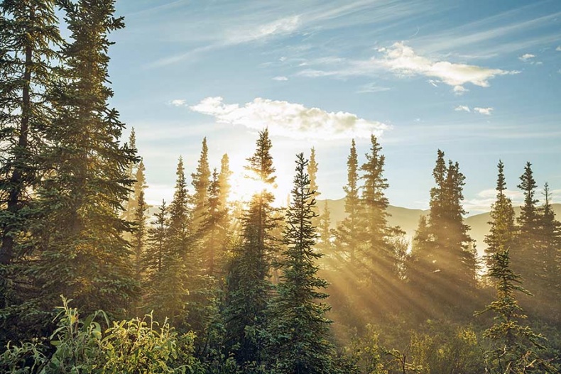 Иллюстрация к книге — Счастье по хюгге, или добавь в свою жизнь немного волшебства [i_082.jpg]